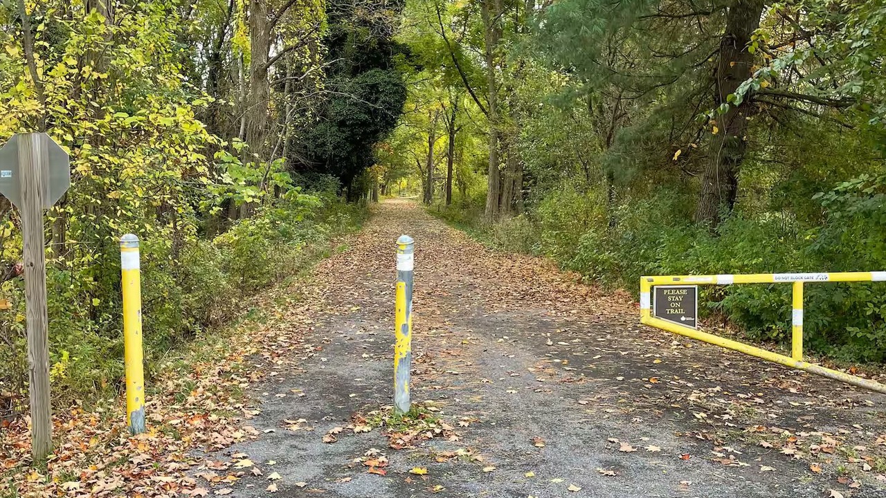 Photo of Others in Ithaca