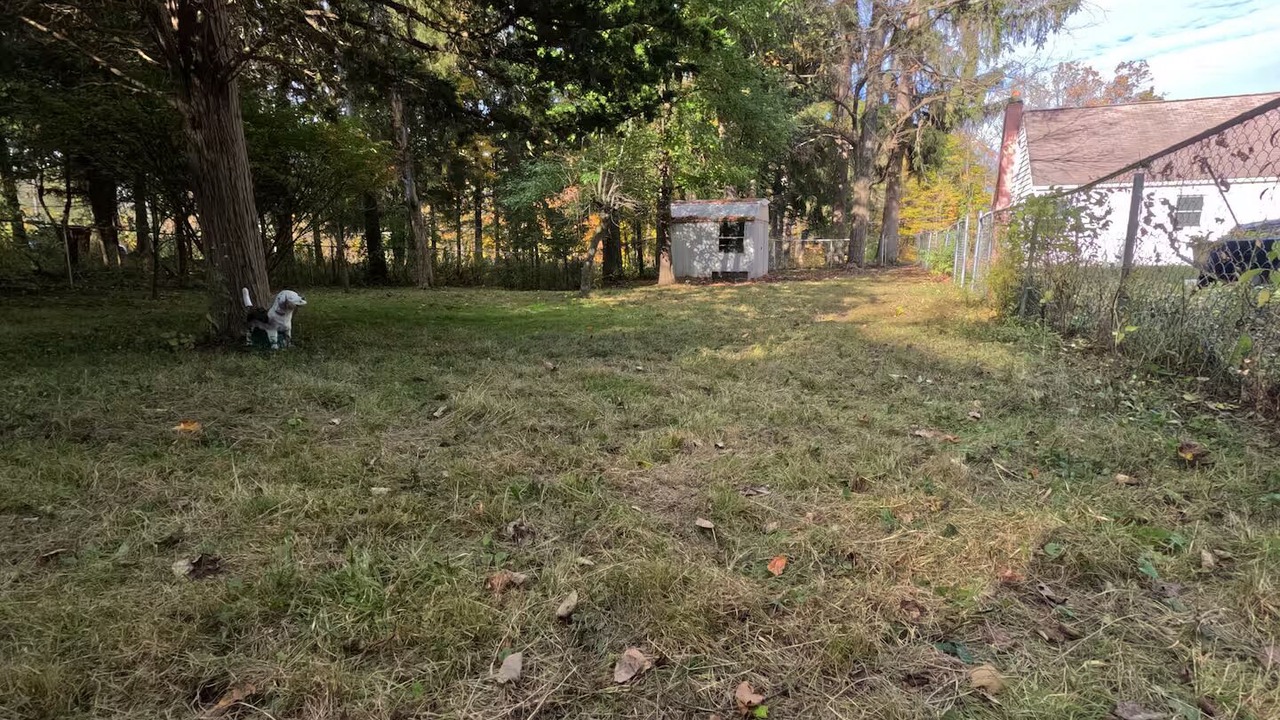 Photo of Outdoor in Ithaca