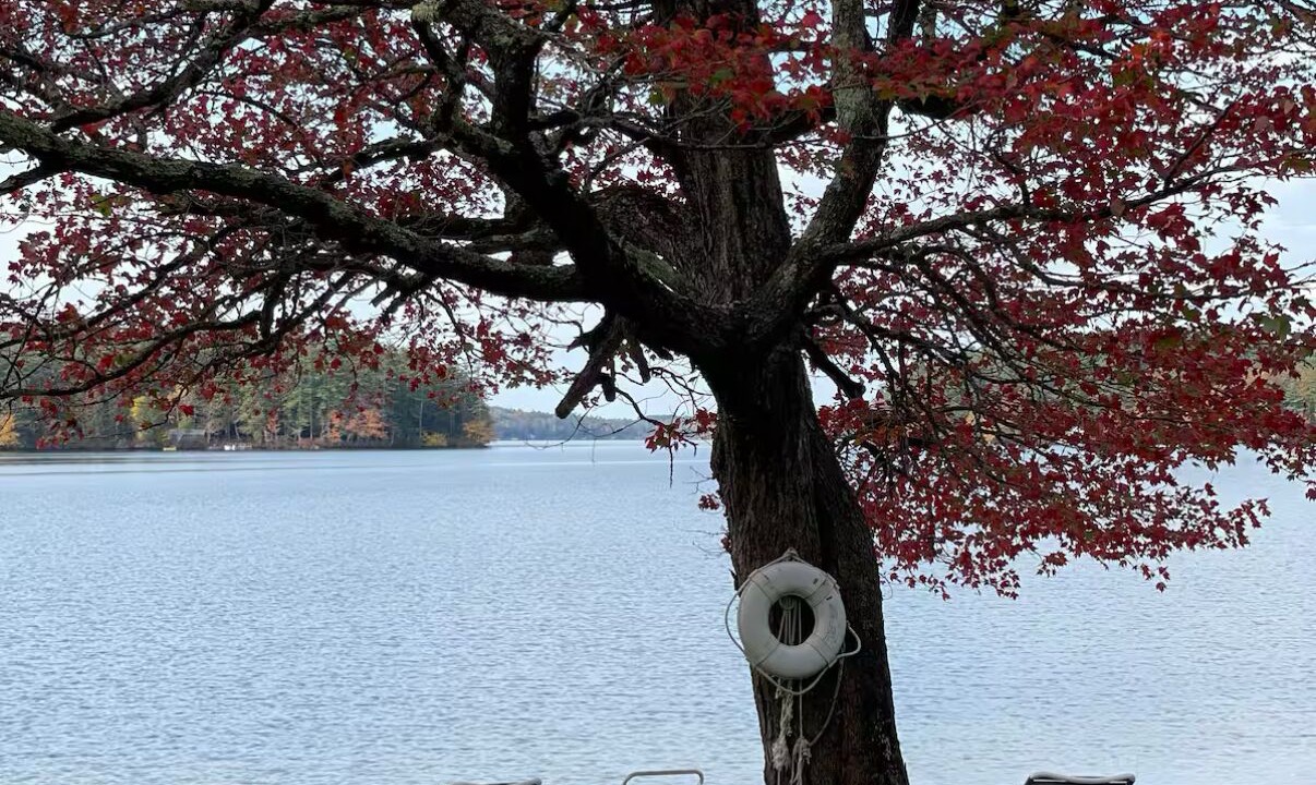 Photo of Outdoor in Center Tuftonboro