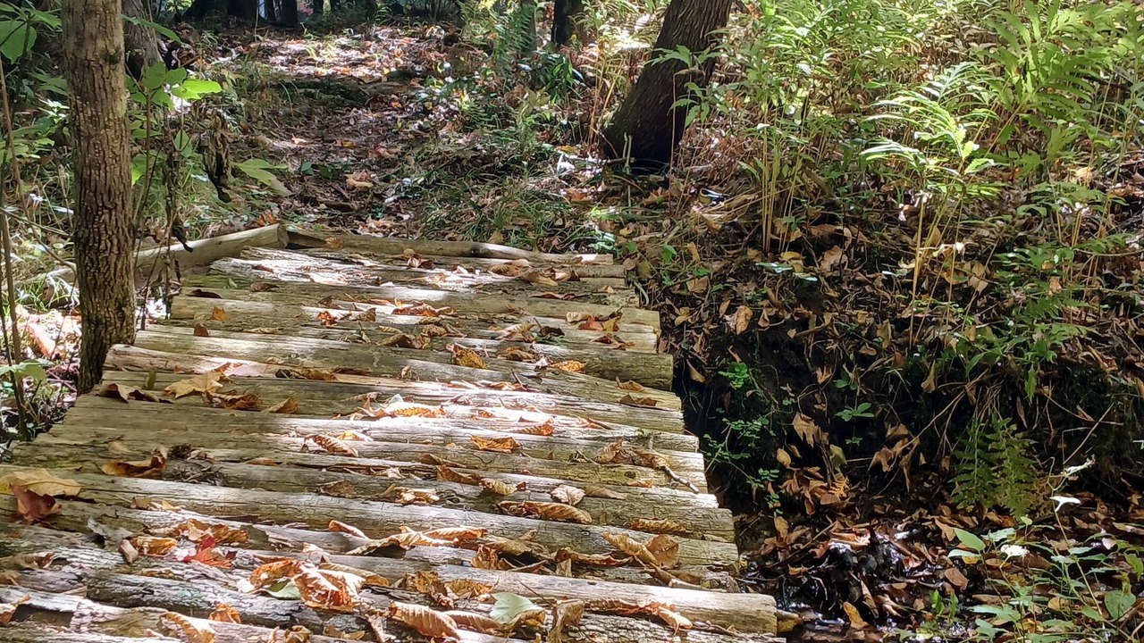 Photo of Outdoor in Wilmington