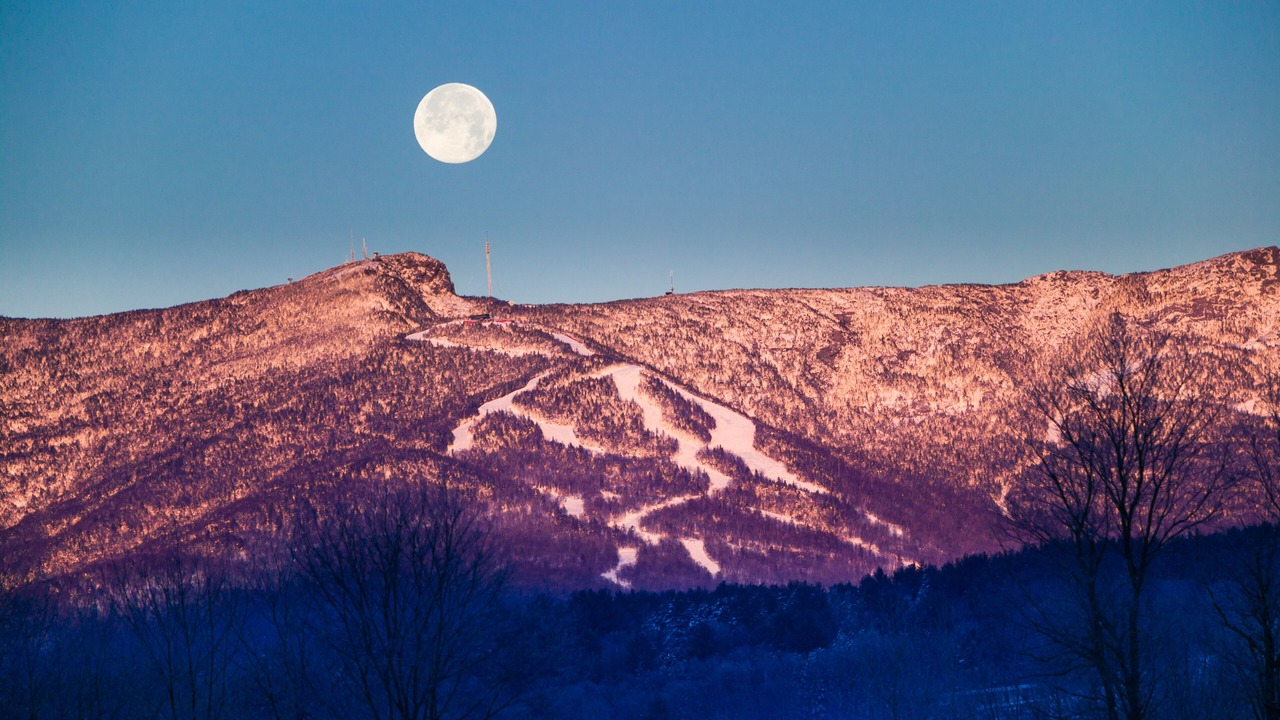 Photo of Others in Stowe Area
