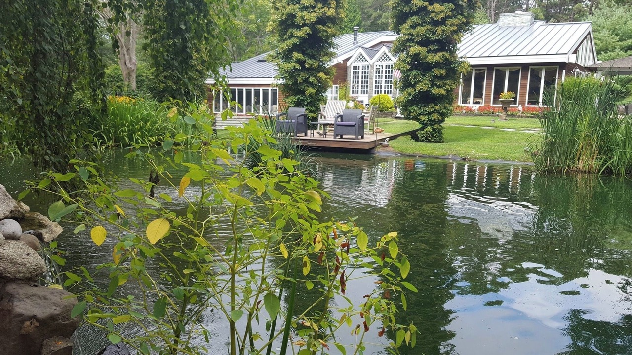 Photo of Outdoor in Flanders