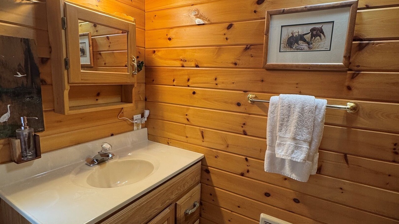 Photo of Bathroom in Otego