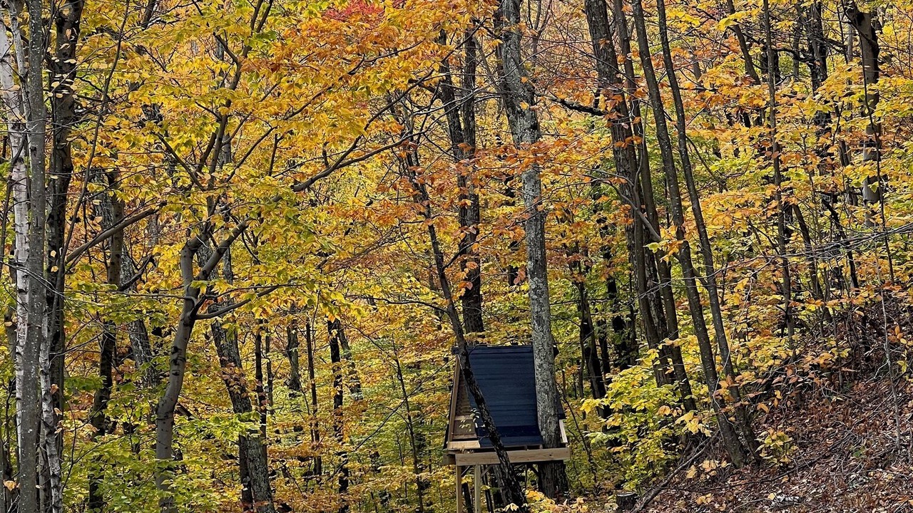 Photo of Others in North Pownal