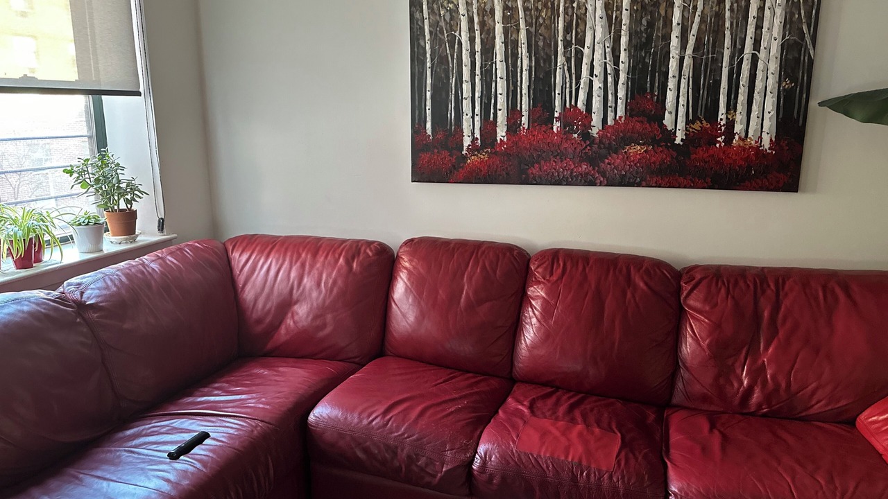 Photo of Livingroom in Central Park North