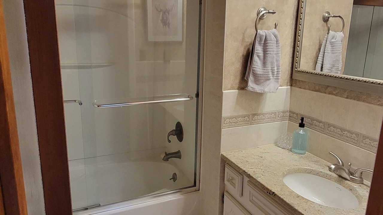 Photo of Bathroom in Bartlett