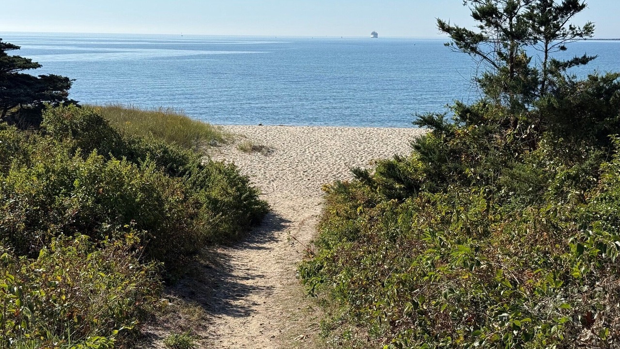 Photo of Others in Hyannis
