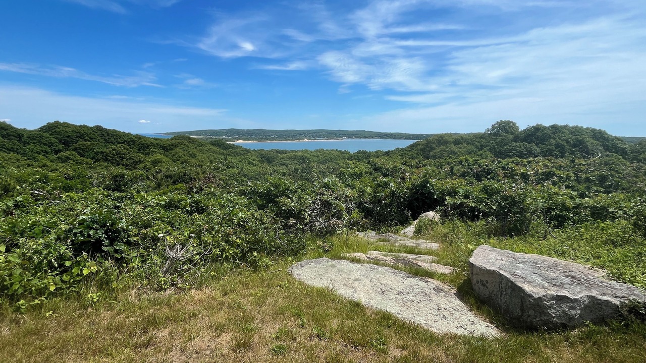 Photo of Others in Aquinnah