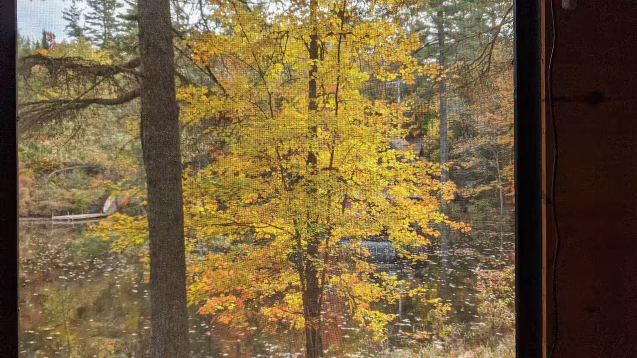 Photo of Others in Rainbow Lake