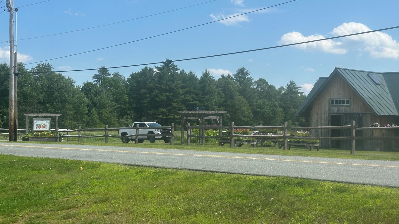 Photo of Others in Post Mills