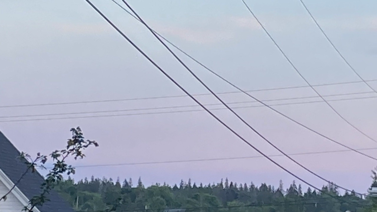 Photo of Others in Vinalhaven