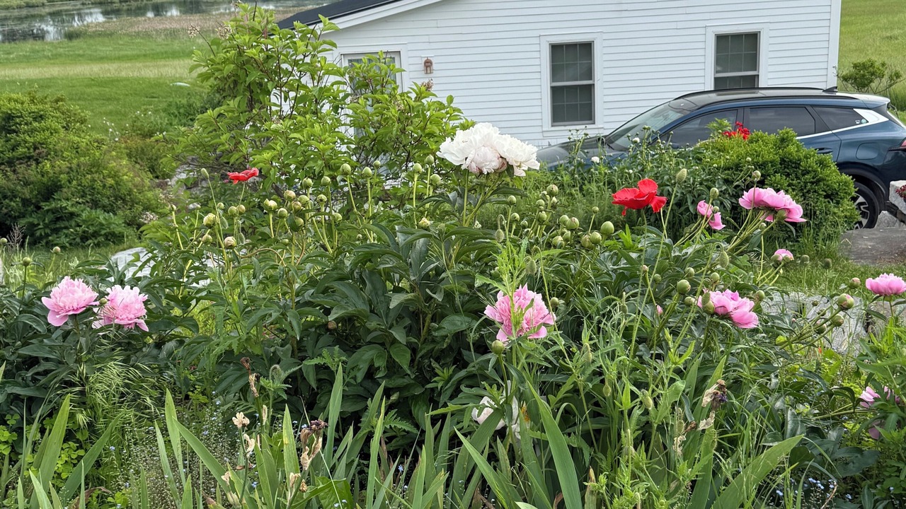 Photo of Outdoor in Brandon