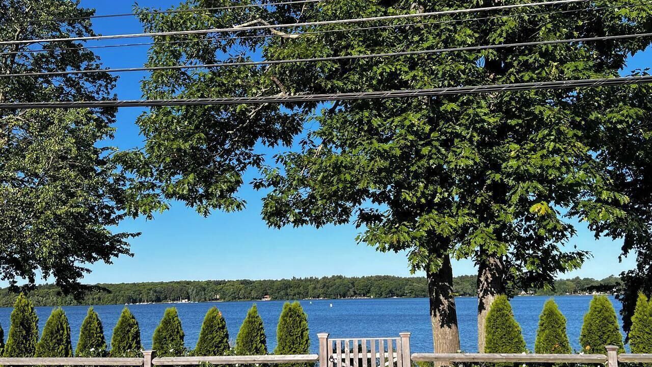 Photo of Others in Sharon