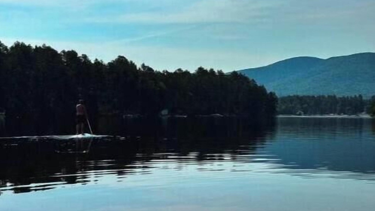 Photo of Others in The Bays