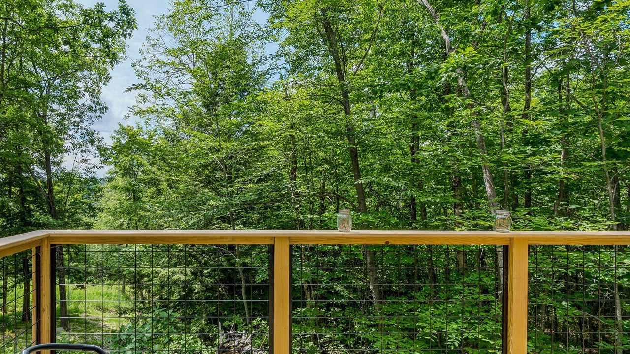 Photo of Outdoor in Strafford