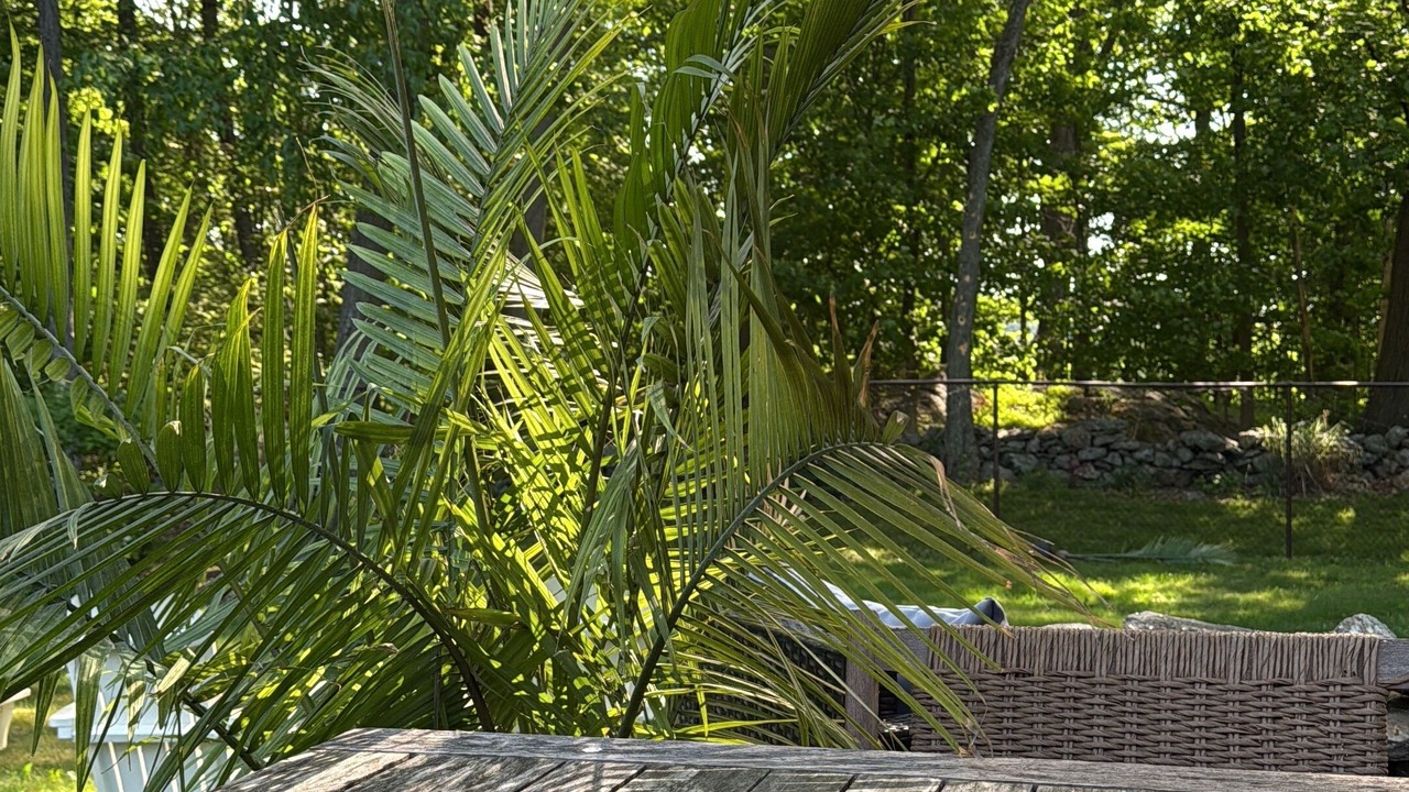 Photo of Outdoor in Fairfield