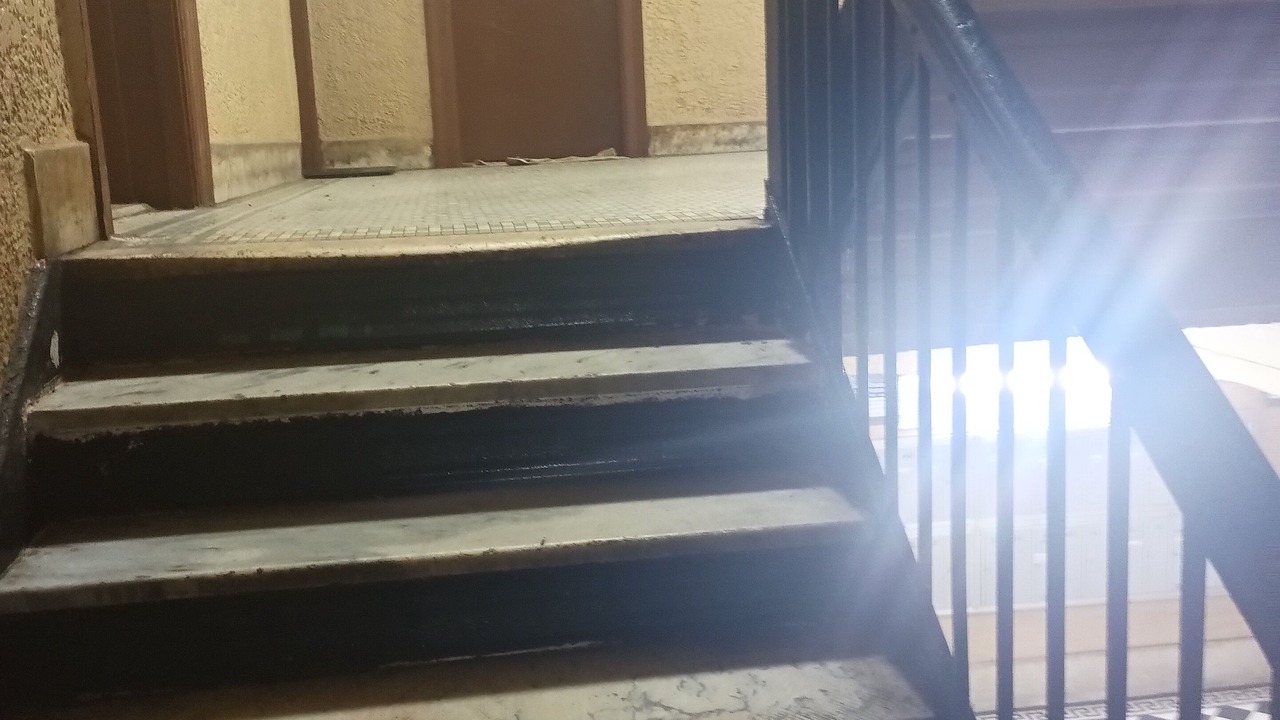 Photo of Others in Williamsbridge