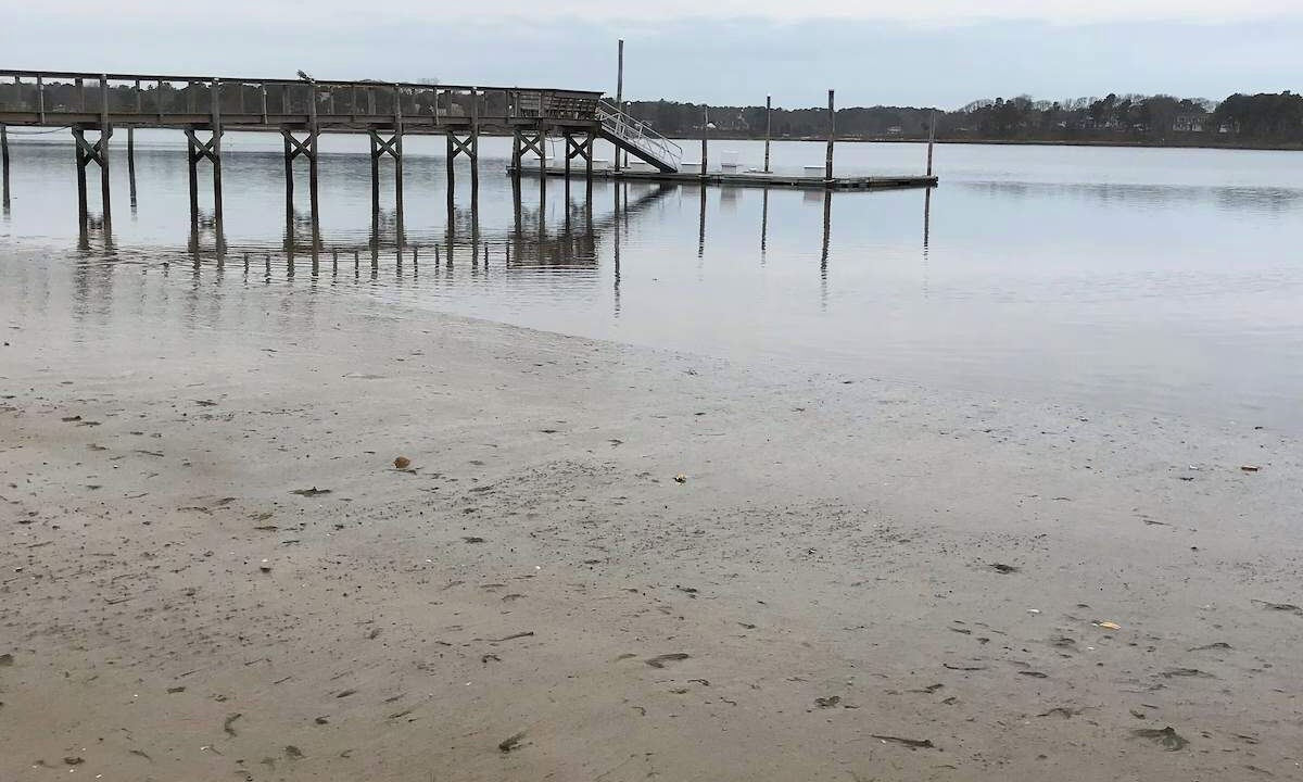 Photo of Others in West Dennis