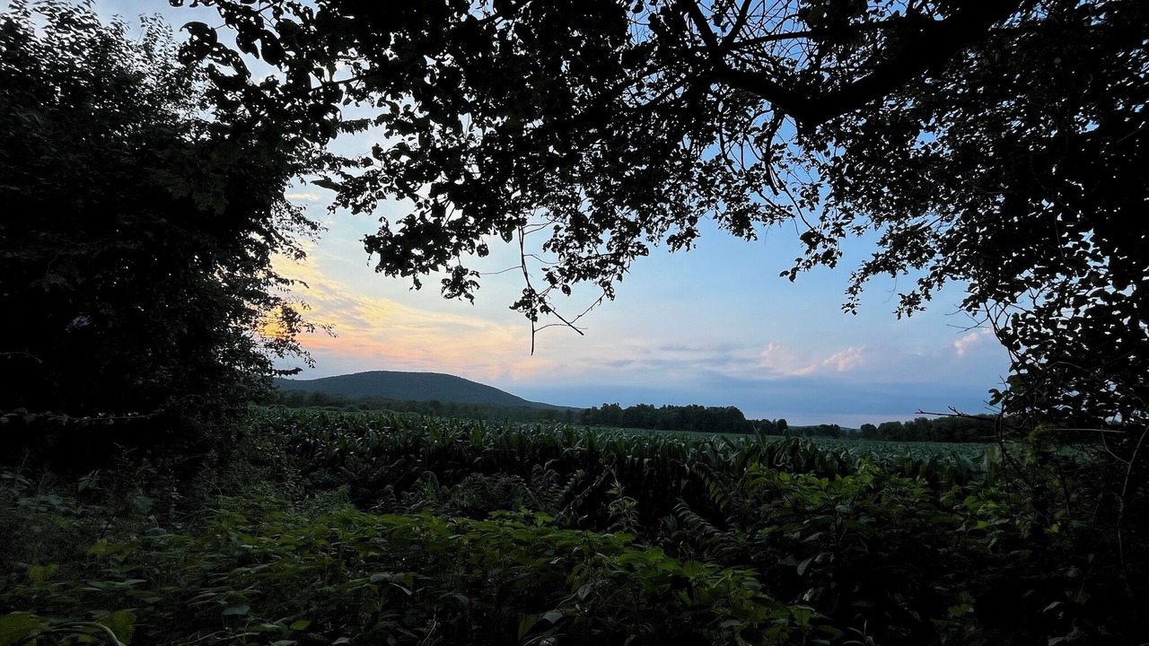 Photo of Others in Pine Plains