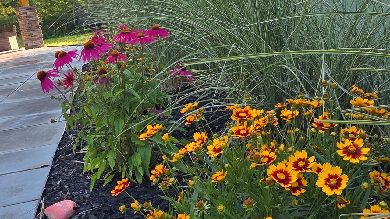 Photo of Outdoor in Rock Stream