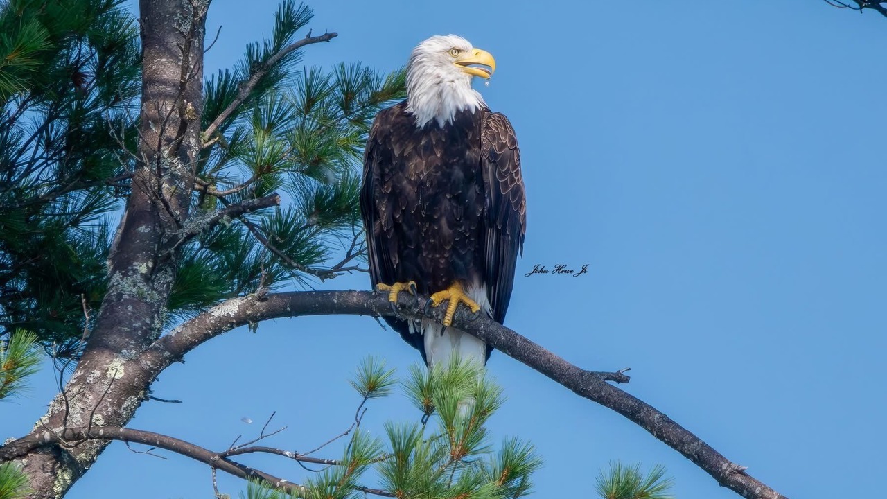 Photo of Others in Parsonsfield