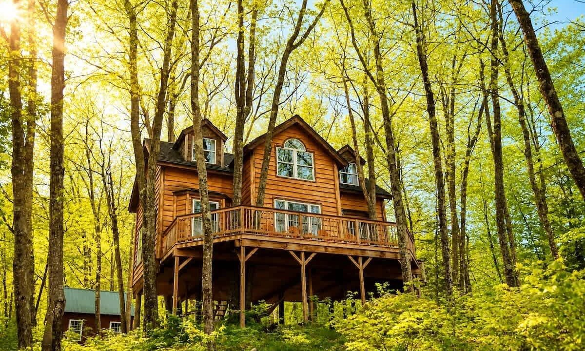 Photo of Outdoor in Stoneham