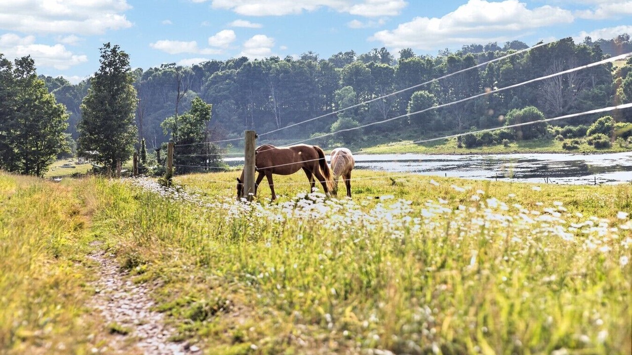 Photo of Outdoor in Middlebury Center