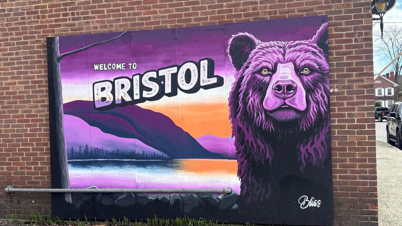 Photo of Others in Bristol