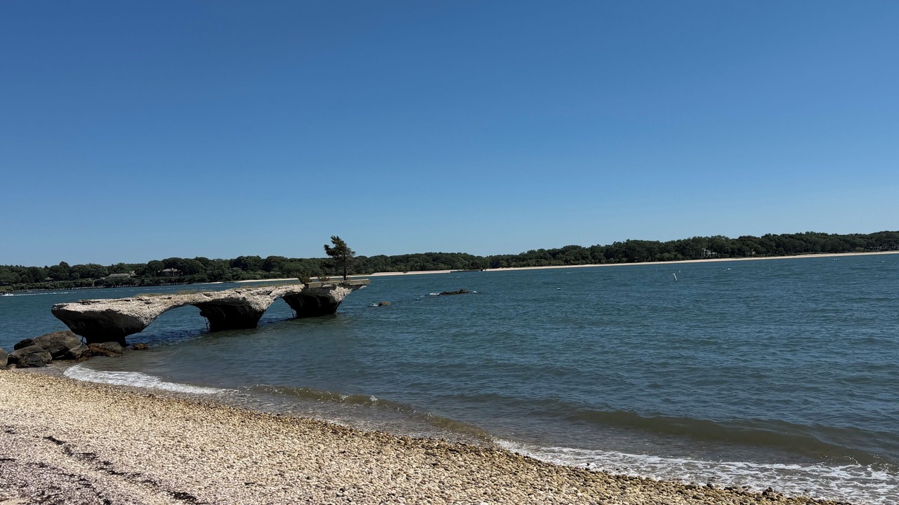 Photo of Others in Shelter Island