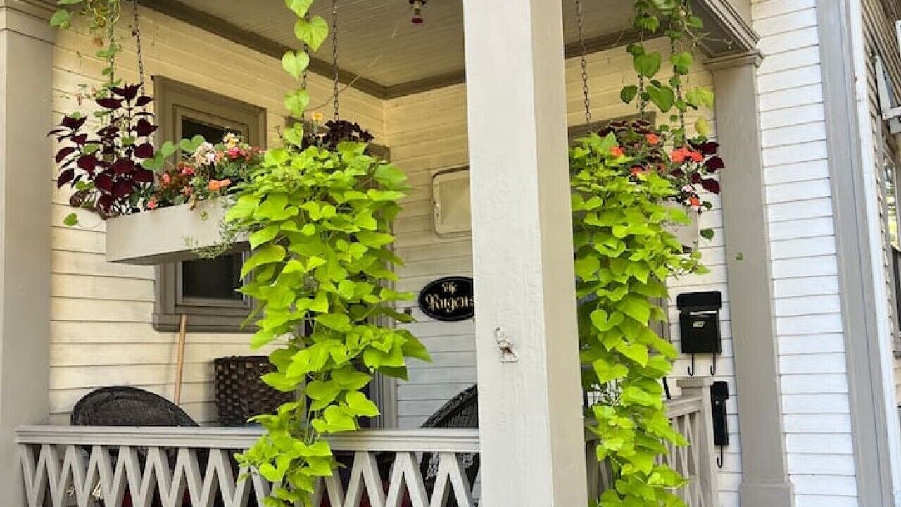 Photo of Outdoor in Chatham