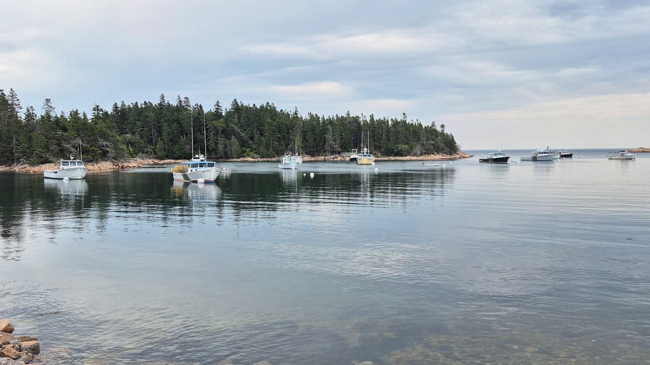 Photo of Others in Birch Harbor