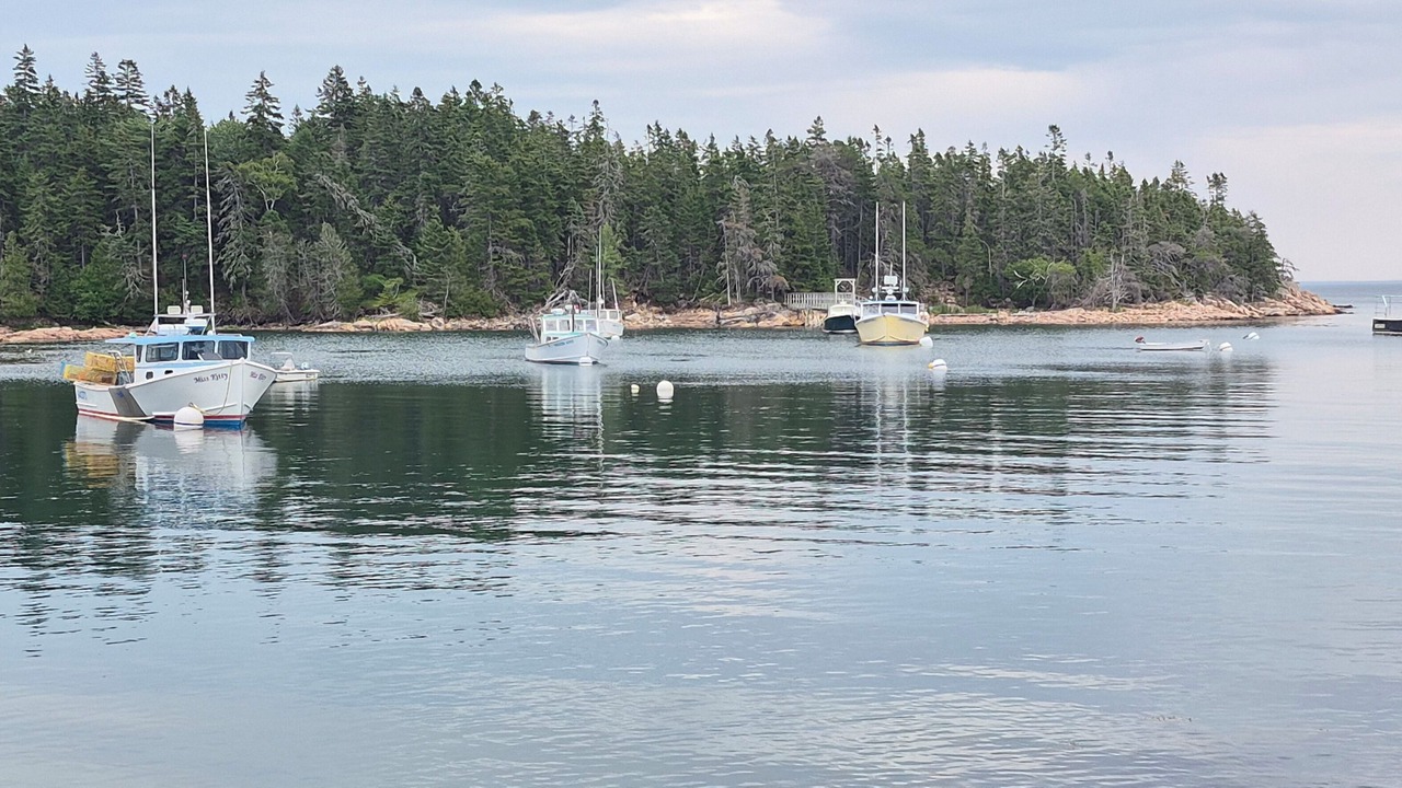 Photo of Others in Birch Harbor