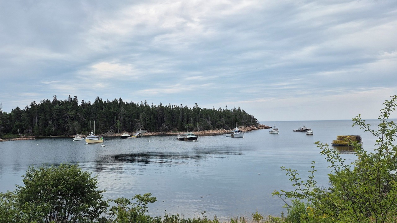 Photo of Others in Birch Harbor