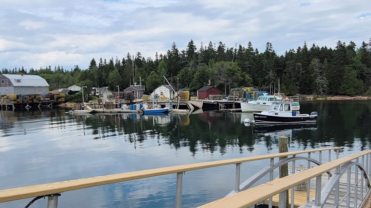 Photo of Others in Birch Harbor