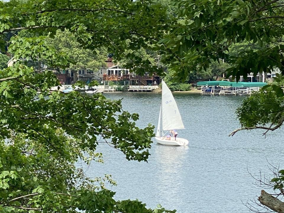 Photo of Others in Worcester
