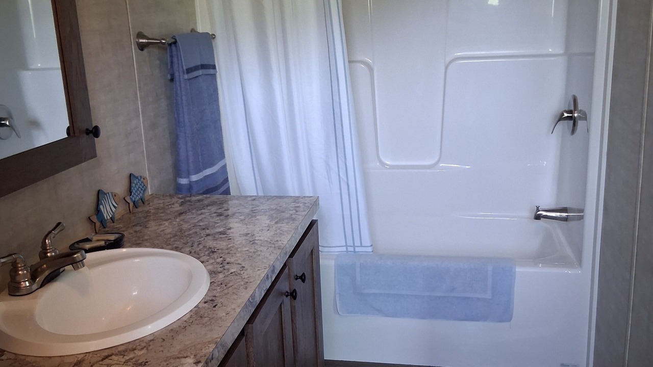 Photo of Bathroom in Pulaski