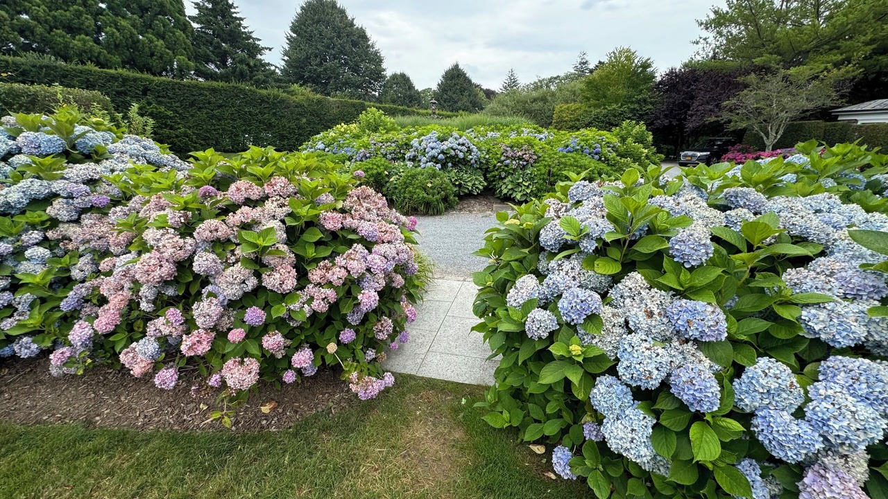 Photo of Outdoor in Bridgehampton
