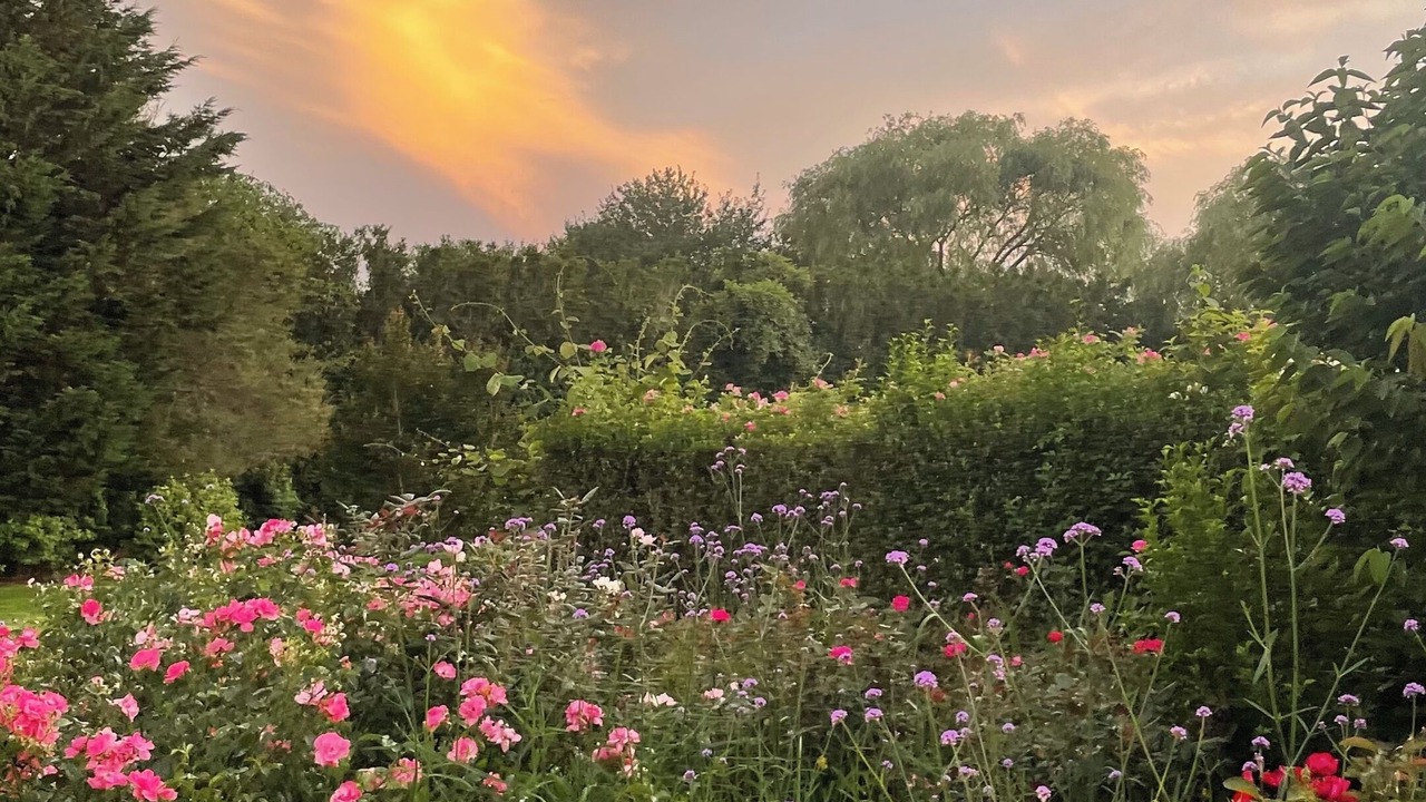 Photo of Outdoor in Bridgehampton