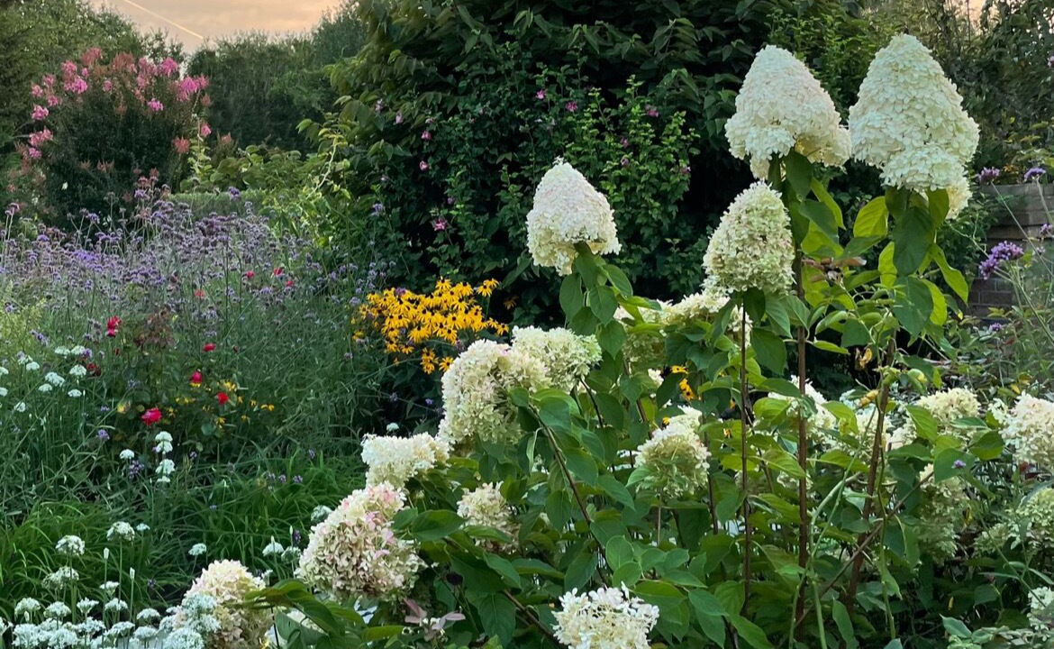 Photo of Outdoor in Bridgehampton
