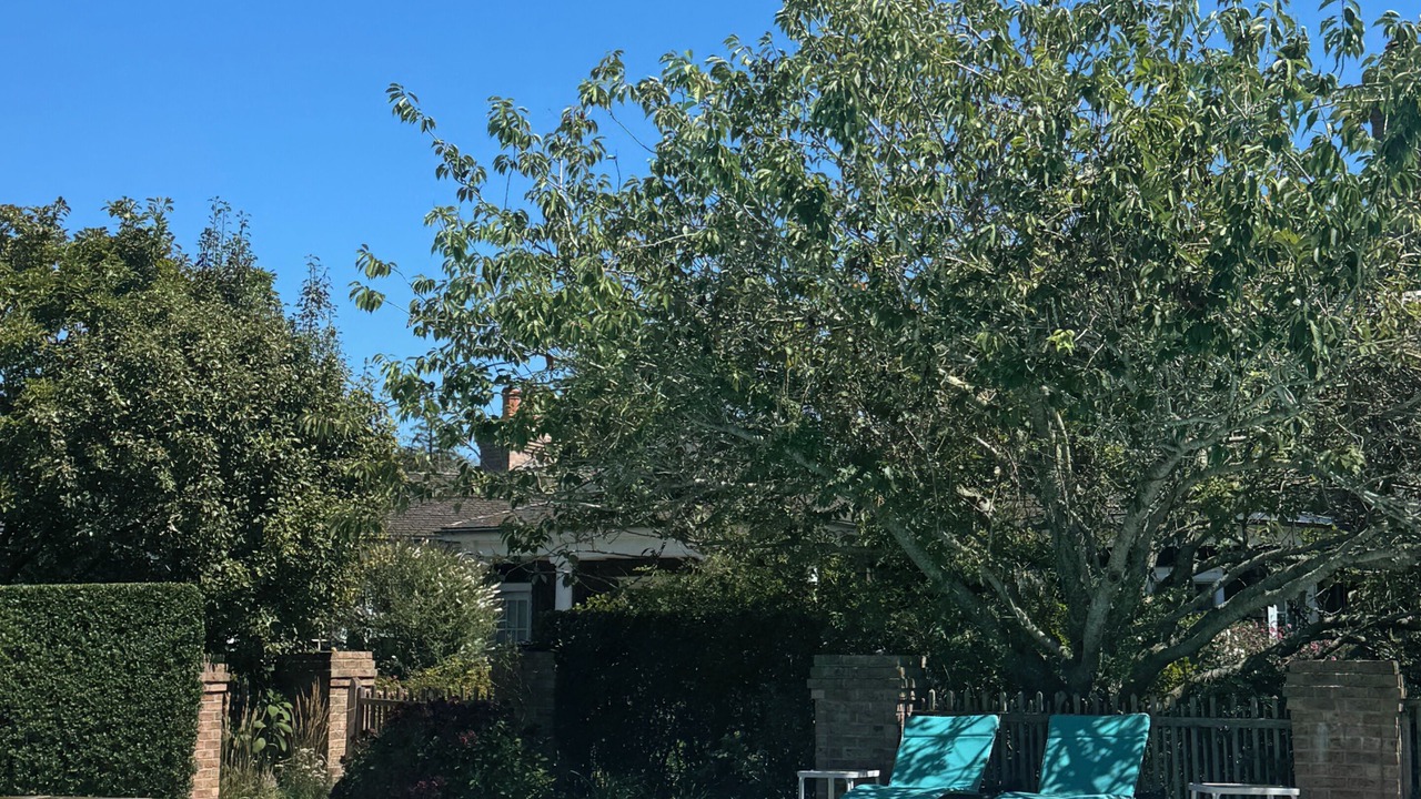 Photo of Outdoor in Bridgehampton