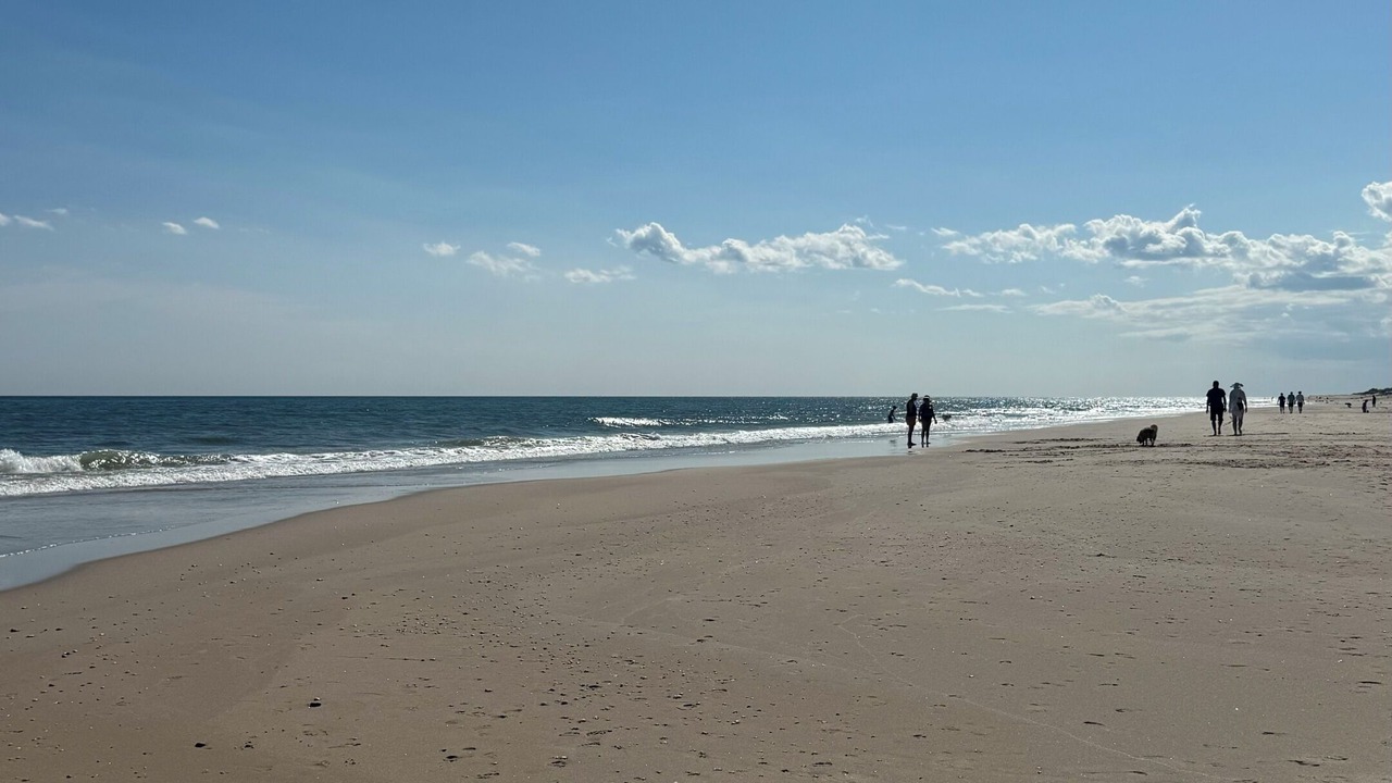 Photo of Others in Bridgehampton