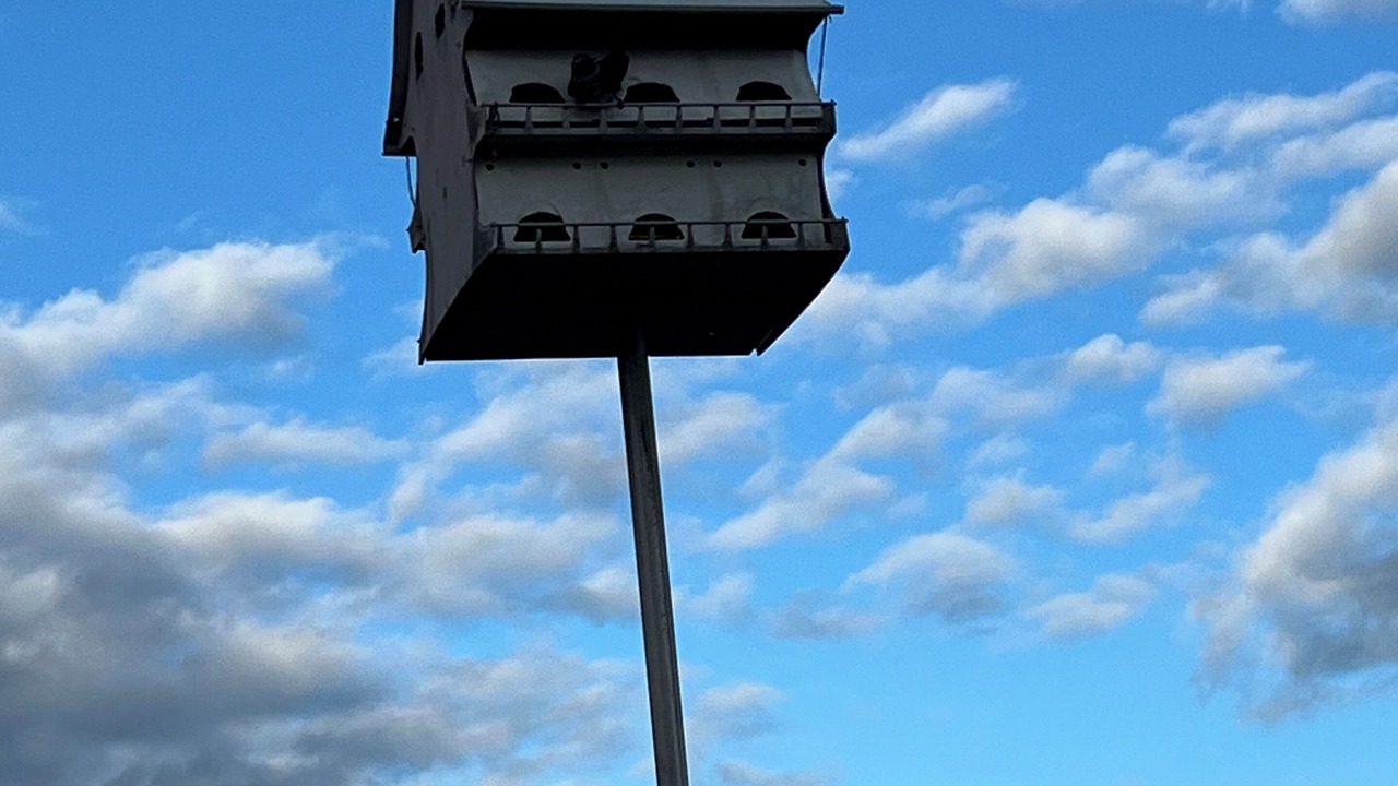 Photo of Others in Saybrook Manor