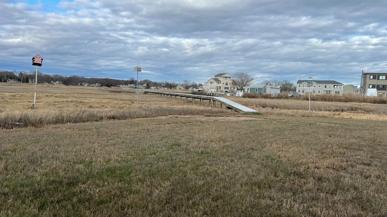 Photo of Others in Saybrook Manor