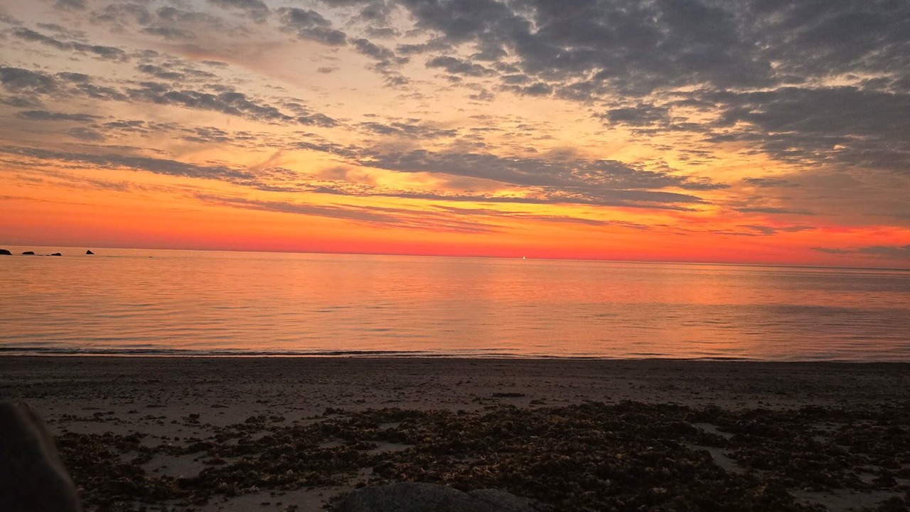 Photo of Others in Scituate