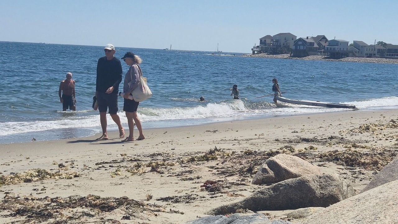 Photo of Others in Scituate