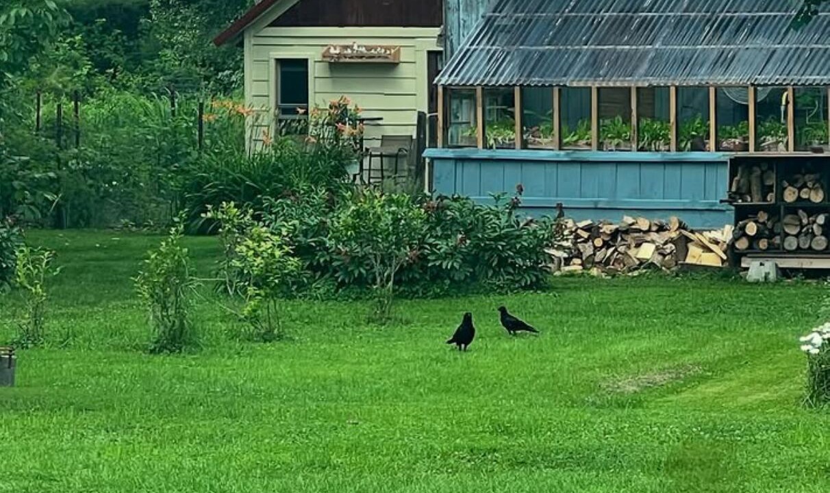 Photo of Outdoor in Trumansburg