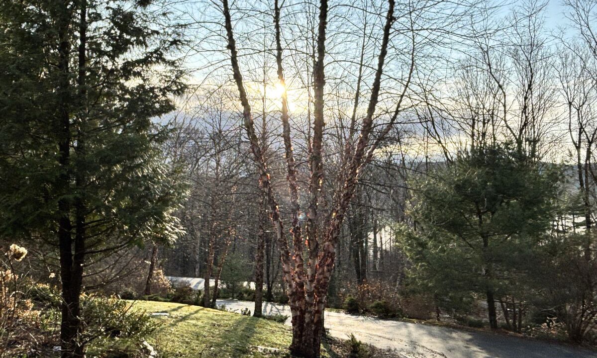 Photo of Outdoor in Canaan