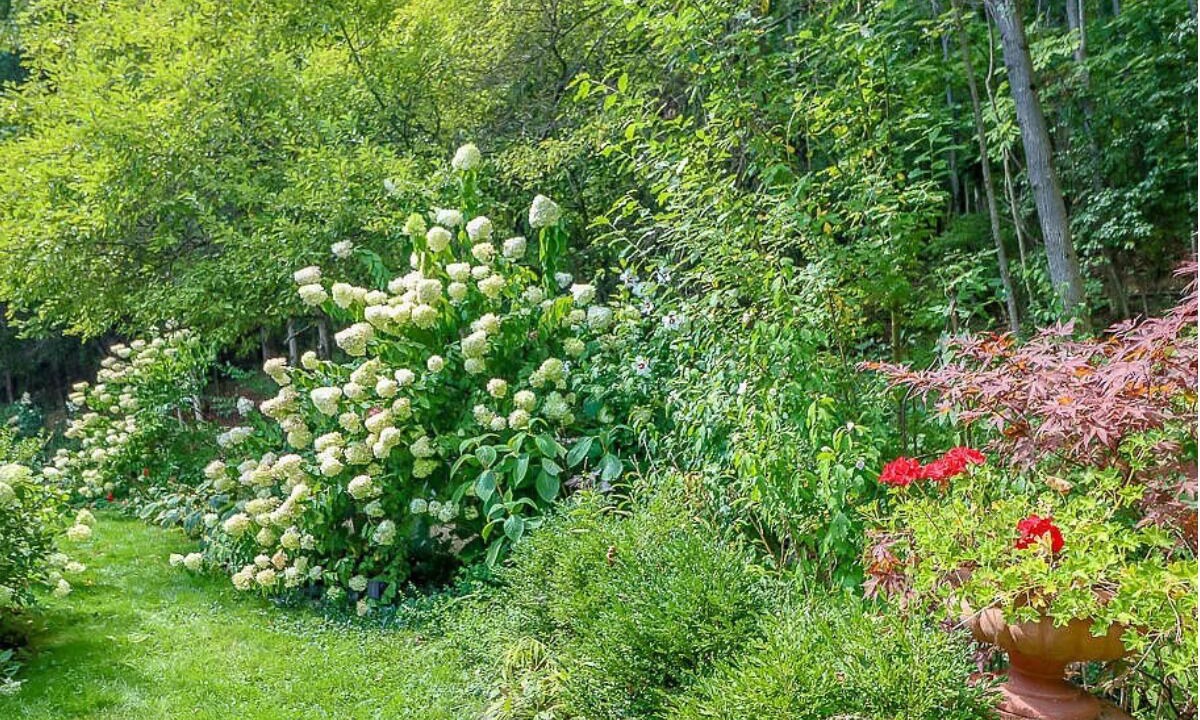 Photo of Outdoor in Canaan