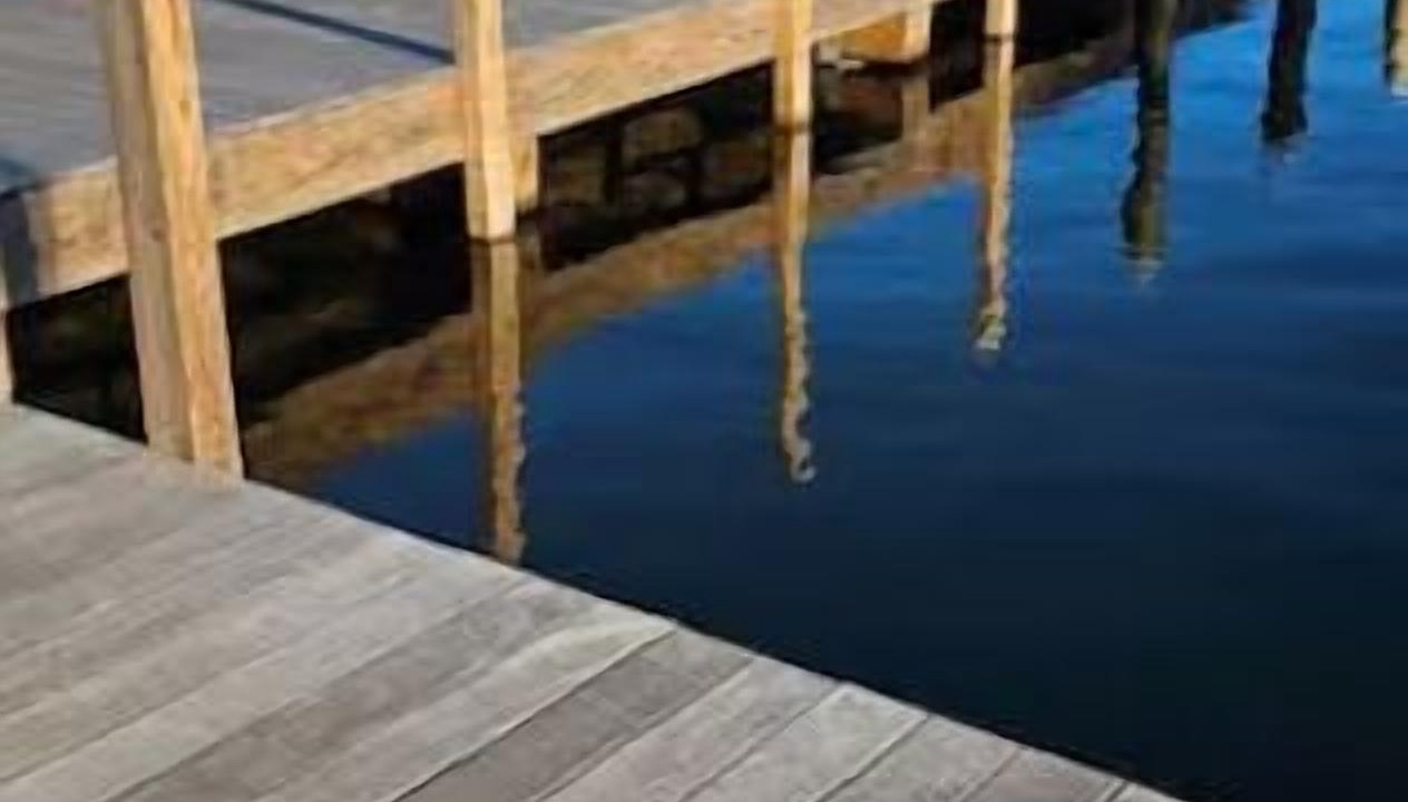 Photo of Others in Wolfeboro