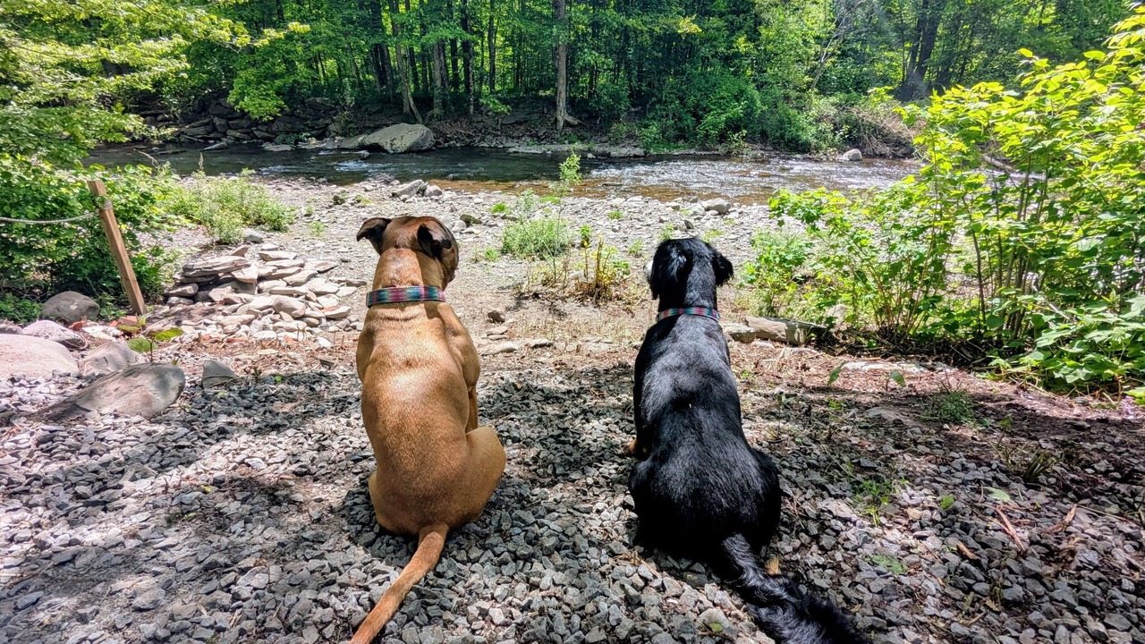 Photo of Others in Lanesville